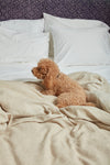 The Five Most Important Things To Look For In High Quality Bedding